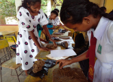 Art and design program