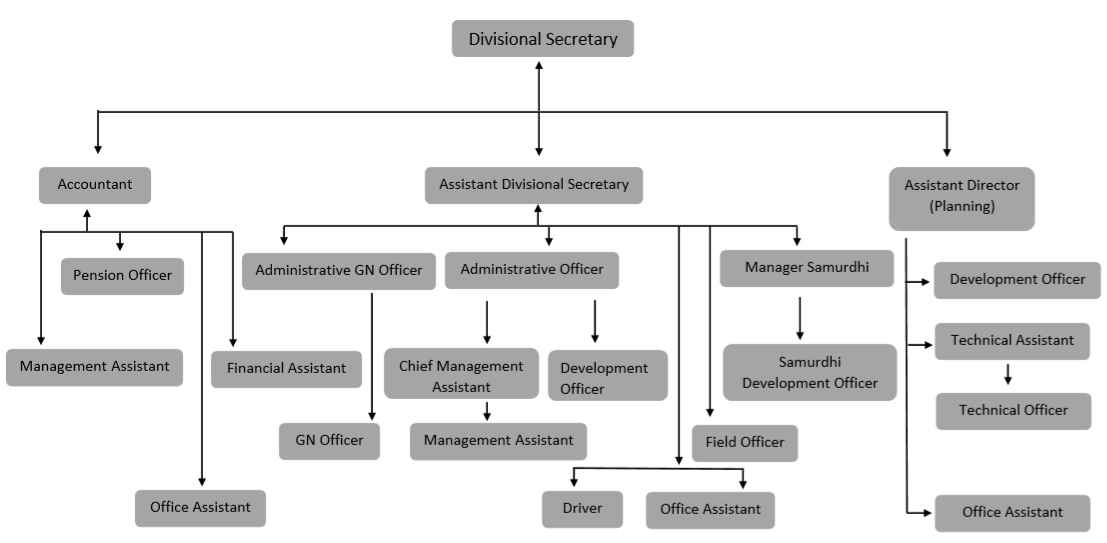 Org chart Eg